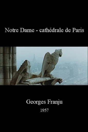Poster de Notre Dame - cathédrale de Paris