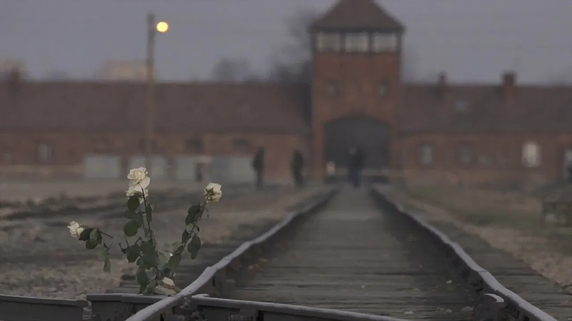 Imagen de Infierno: Cartas desde Auschwitz