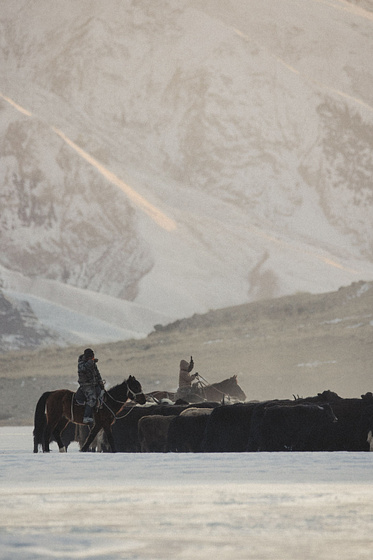 Imagen de Territory