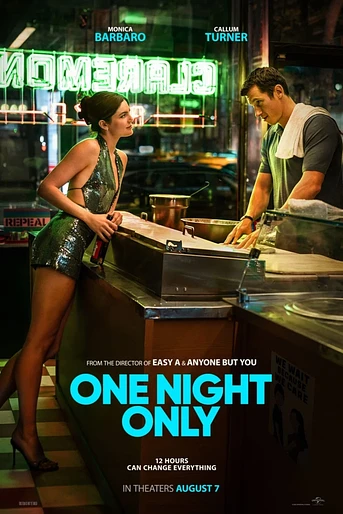 Poster de Una Noche al Año 