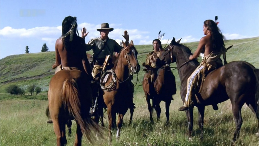 Imagen de Zorro Negro