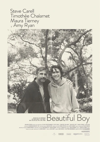 Imagen de beautiful-boy-siempre-seras-mi-hijo (Cartel español)