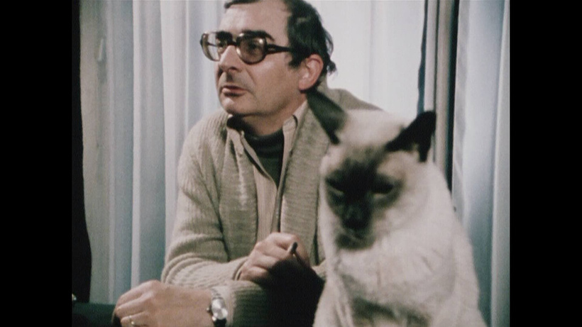Imagen de Chabrol, l'anticonformiste