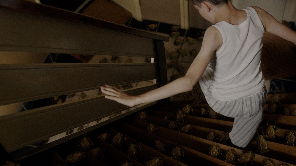 Imagen de The Book of Everything