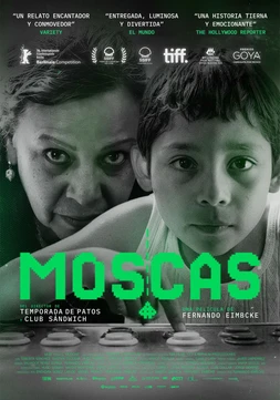 Moscas