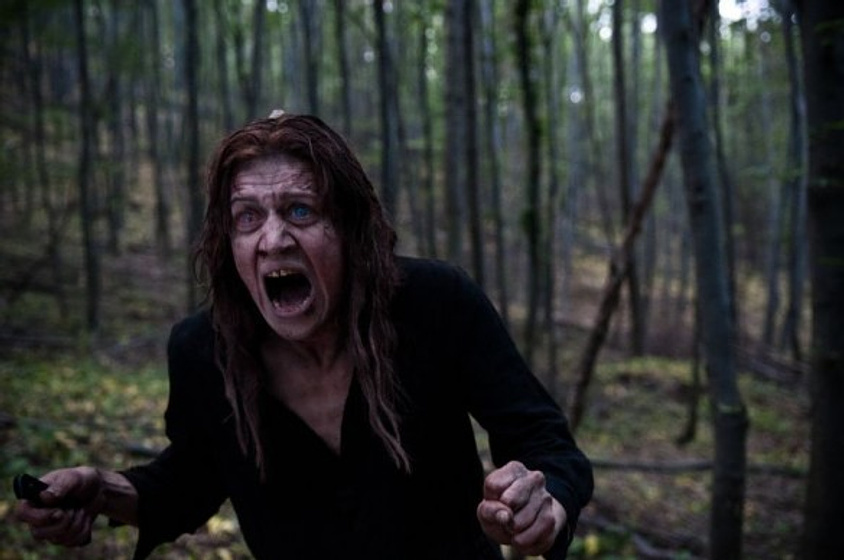 Imagen de Open Grave
