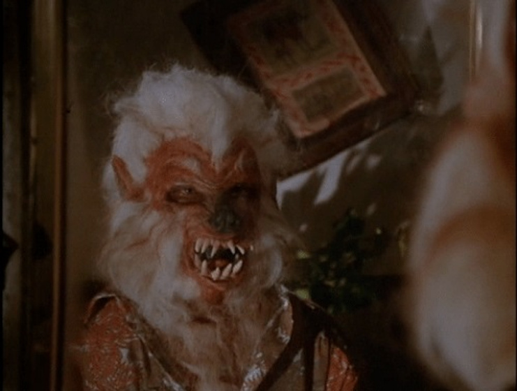 Imagen de Mi Madre es una Mujer Lobo