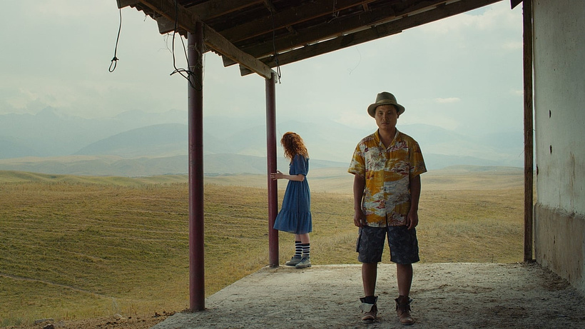 Imagen de Yellow cat