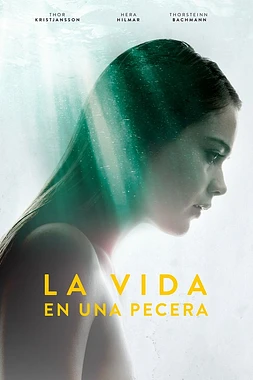 La vida en una pecera