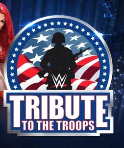WWE Tribute to the Troops 2014