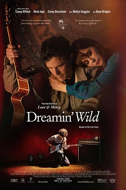 poster of movie Un Sueño Maravilloso