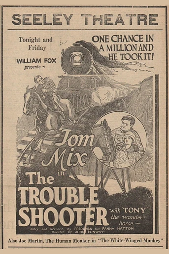 Poster de The Trouble Shooter