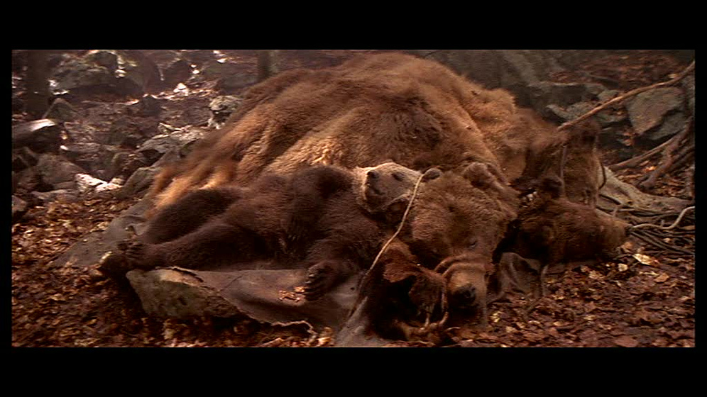 Imagen de El Oso