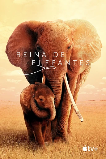 Poster de Reina de Elefantes