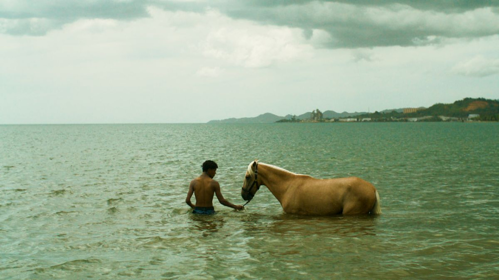 Imagen de Esta Isla