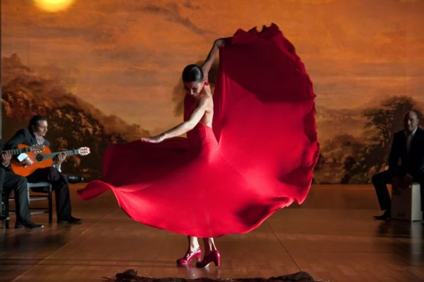 Imagen de flamenco-flamenco