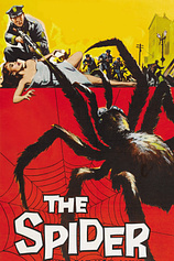 poster of movie La Araña