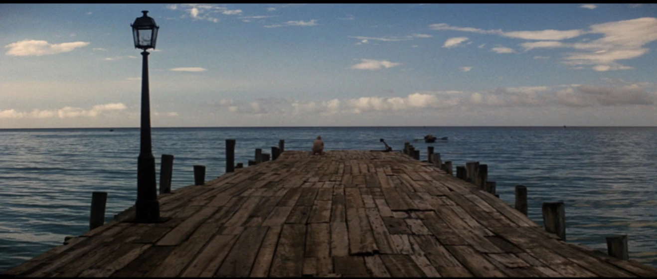 Imagen de Papillon