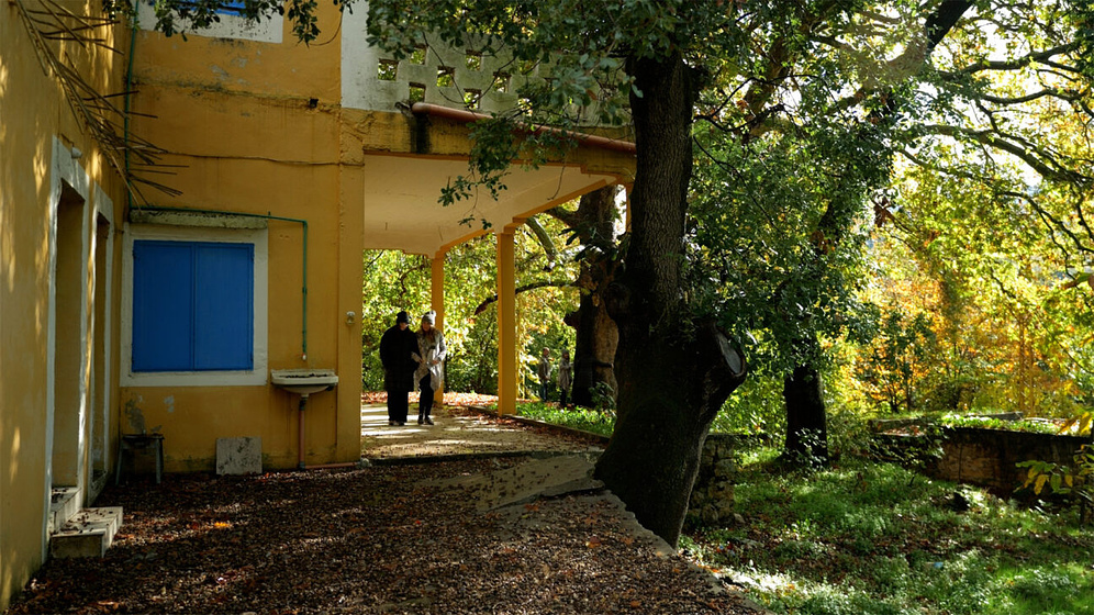 Imagen de shapes-of-normal-human-beings