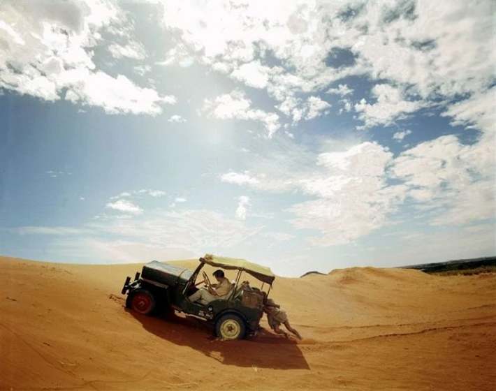 Imagen de safari-de-diamantes