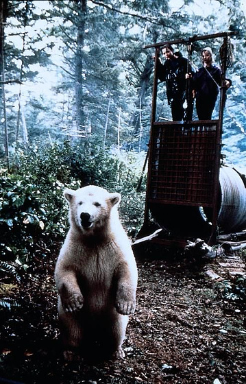 Imagen de Alaska