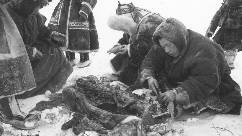 Imagen de Seven Songs from the Tundra