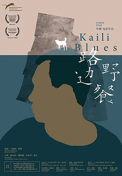 poster of movie Kaili Blues