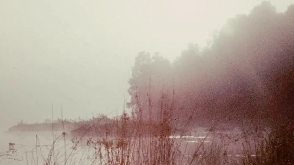 Imagen de everything-everywhere-again-alive