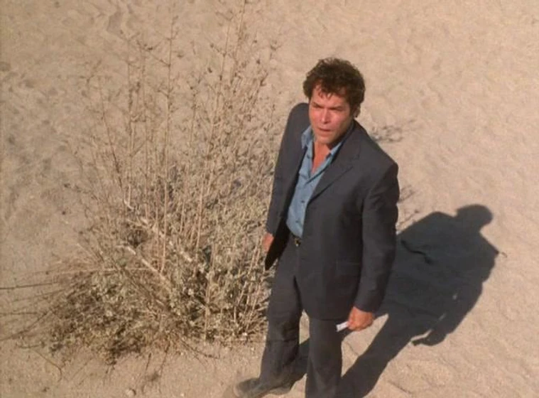 Ray Liotta en peregrino