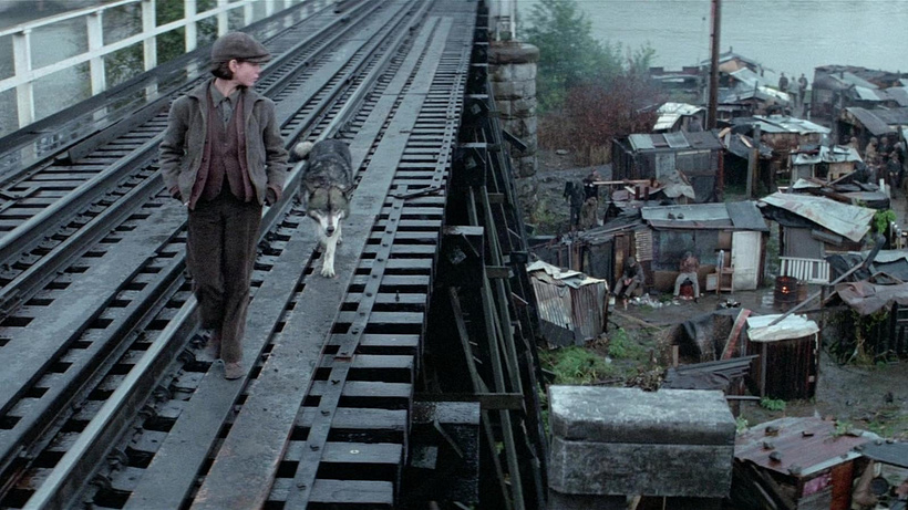 Imagen de Natty Gann
