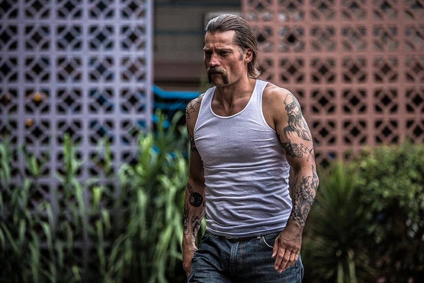 Nikolaj Coster-Waldau en maestro-del-crimen