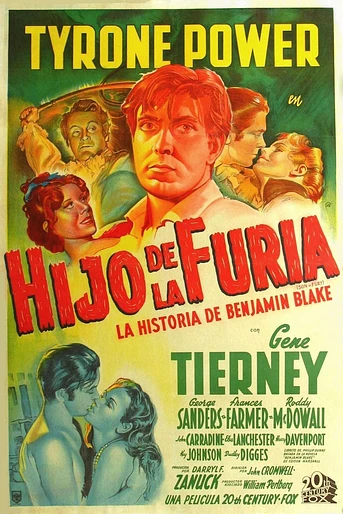 Poster de El Hijo de la Furia