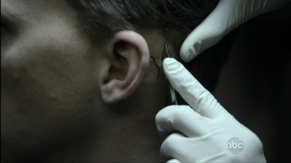 Imagen de V (2009)
