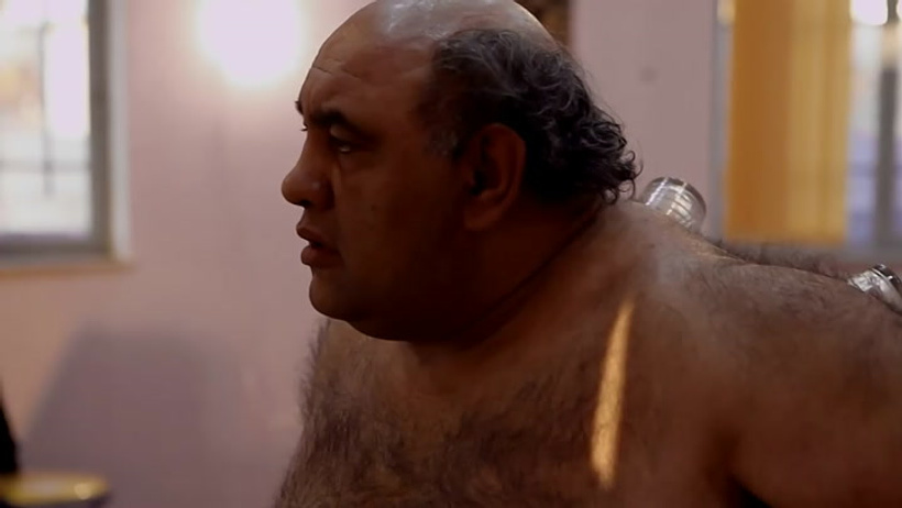 Imagen de Fat Shaker