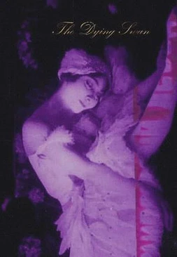 poster of movie La Muerte del Cisne