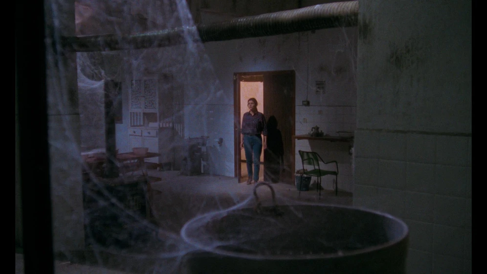 Imagen de the-house-of-lost-souls