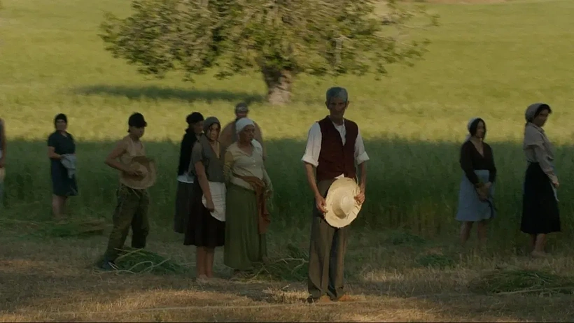 Imagen de Blava Terra