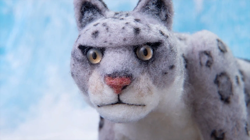 Imagen de The Boy who cheated Death