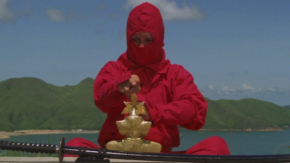 Imagen de ninja-terminator