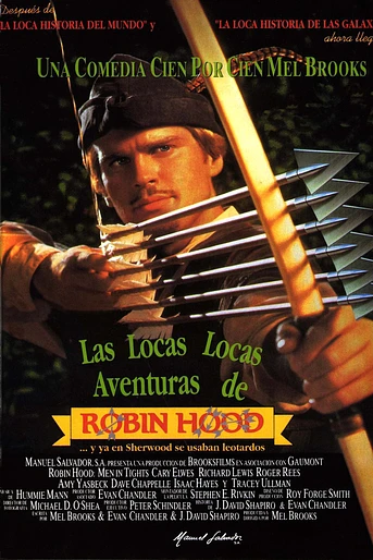 Poster de Las Locas Locas Aventuras de Robin Hood