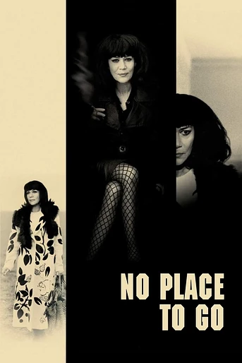 Poster de No Place to Go