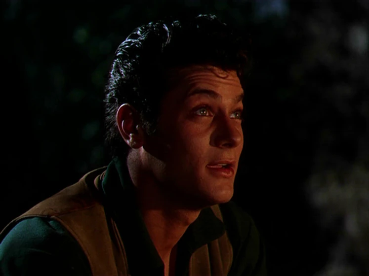 Tony Curtis en los-asaltantes-de-kansas