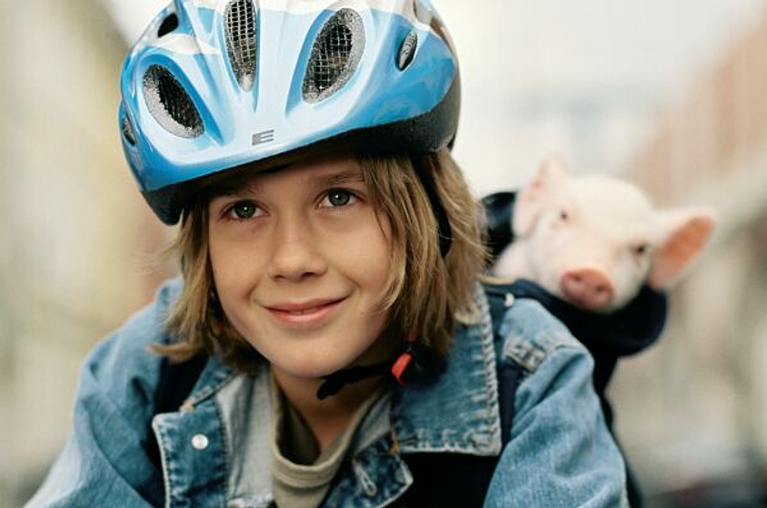 Imagen de Rudy, el cerdito de carreras