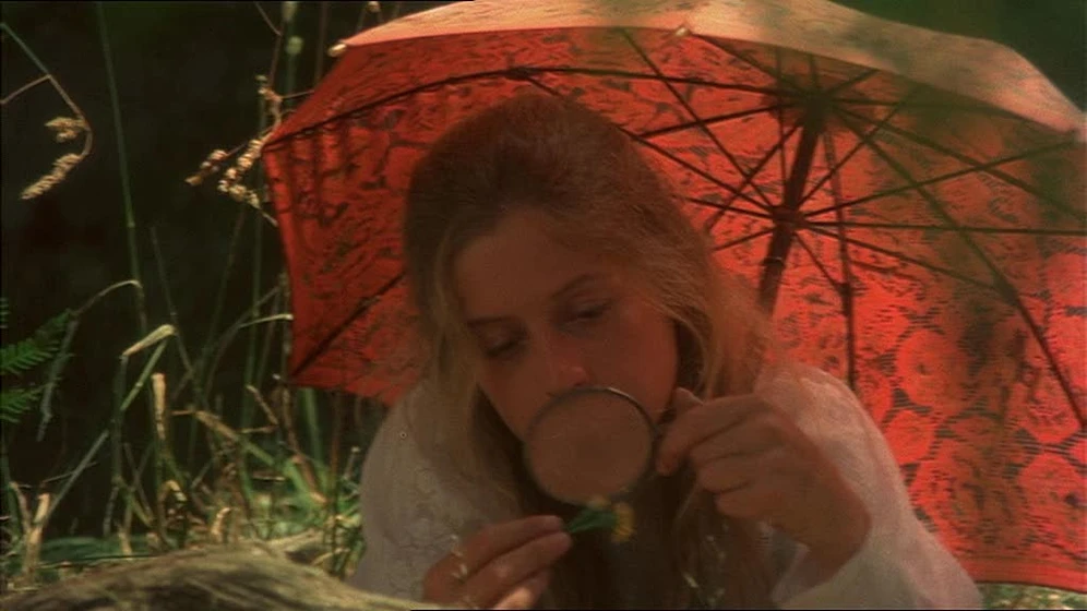 Imagen de Picnic en Hanging Rock