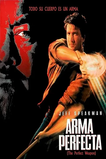 Poster de Arma Perfecta