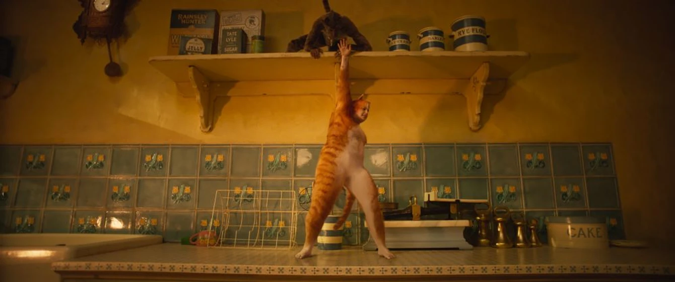 Imagen de cats