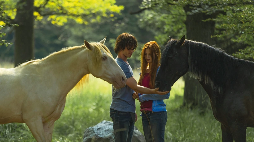 Imagen de Windstorm 2