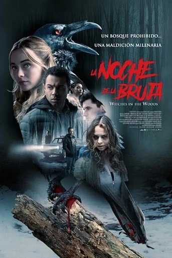 Poster de La Noche de la Bruja
