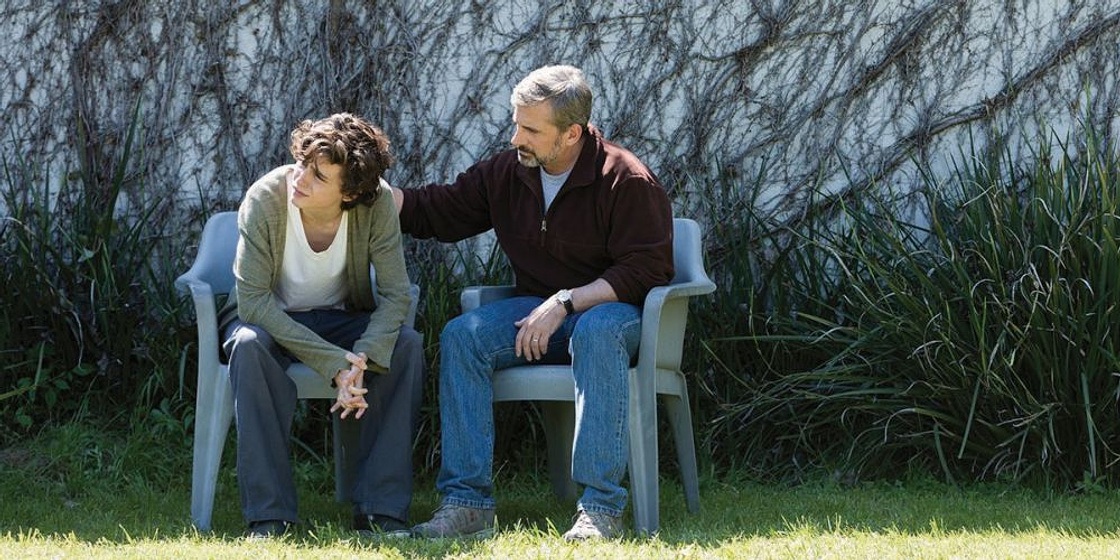 Steve Carell y Timothée Chalamet en Beautiful Boy. Siempre serás mi Hijo