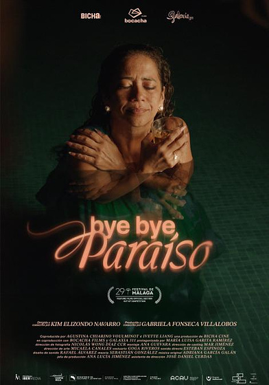 Imagen de bye-bye-paraiso (Cartel)